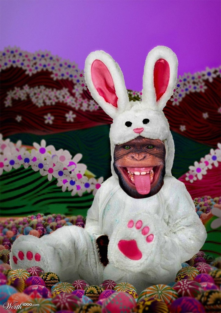 funny-bunny