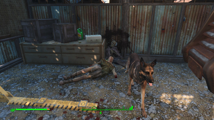 Fallout4-2015-11-28_dogmeat