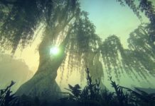 Te wszystkie drobiazgi, na które zwracam uwagę