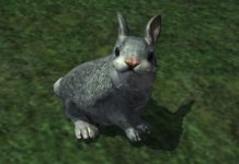 Zabójczy królik Monty Pythona zawitał do EverQuest 2!