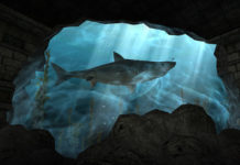 Pierwsza wojna na wesoło pomiędzy grami MMO?