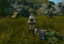 Mój Dawnsdrop Armor