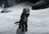 Epicka opowieść o graczu, który szukał domu dla psa w Skyrim