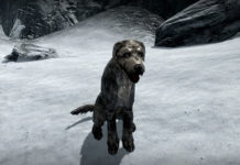 Epicka opowieść o graczu, który szukał domu dla psa w Skyrim