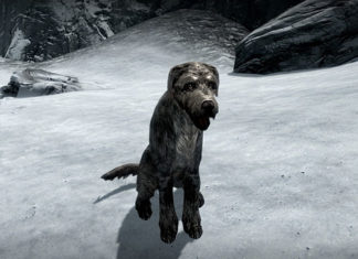Epicka opowieść o graczu, który szukał domu dla psa w Skyrim