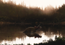 Saurian już dostępny na Steam