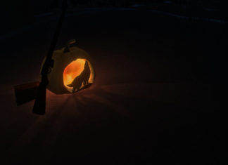The Long Dark przedstawia: Cztery Dni Ciemności