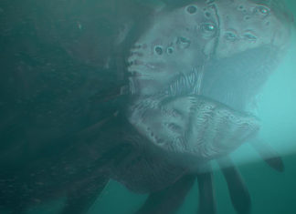 Osiris: New Dawn udostępnia demo odświeżonej wersji gry