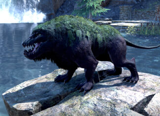 ESO Blackwood: Jak zdobyć własnego Bog Doga